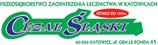 Cezal Rzeszów i Śląsk